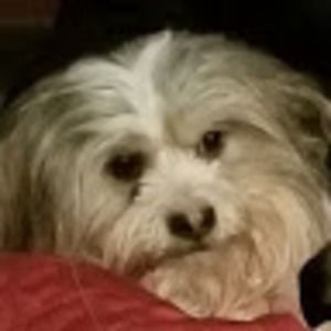 Meet your Posher, Lillian